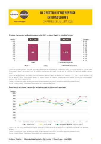 La création d'entreprise en Guadeloupe en juillet 2025