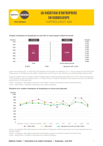 La création d'entreprise en Guadeloupe en août 2025