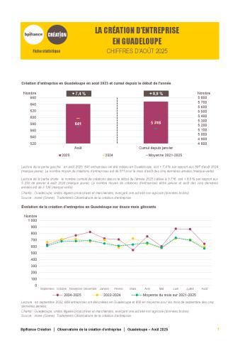 La création d'entreprise en Guadeloupe en août 2025