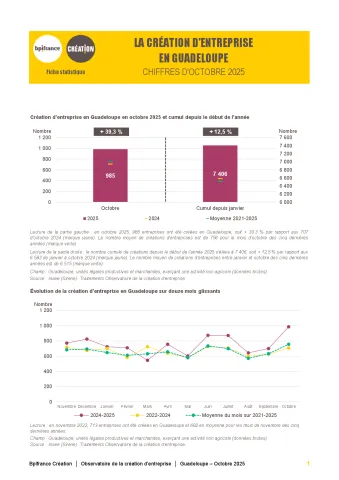 La création d'entreprise en Guadeloupe en octobre 2025