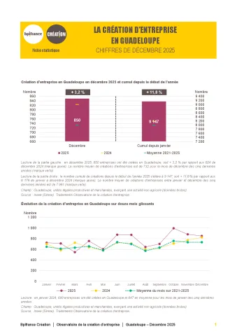La création d'entreprise en Guadeloupe en décembre 2025
