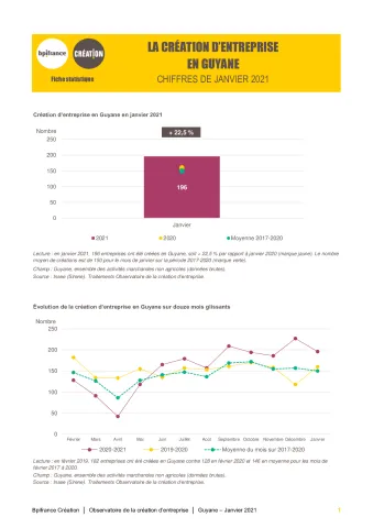 La création d'entreprise en Guyane en janvier 2021