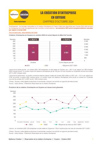 La création d'entreprise en Guyane en octobre 2024