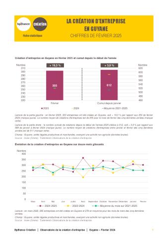 La création d'entreprise en Guyane en février 2025