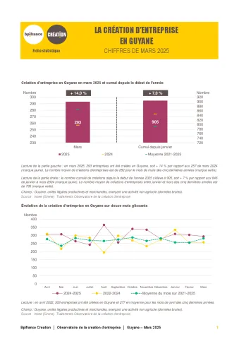 La création d'entreprise en Guyane en mars  2025