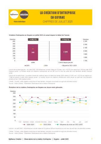 La création d'entreprise en Guyane en juillet 2025