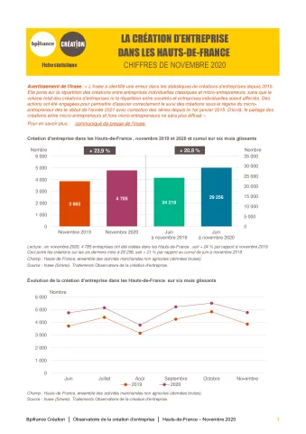 La création d'entreprise dans les Hauts-de-France en novembre 2020