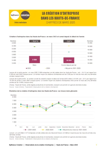La création d'entreprise dans les Hauts-de-France  en mars 2025