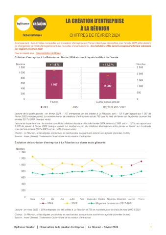 La création d'entreprise à La Réunion en février 2024