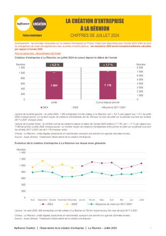 La création d'entreprise à La Réunion en juillet 2024