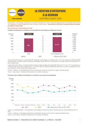 La création d'entreprise à La Réunion en août 2024