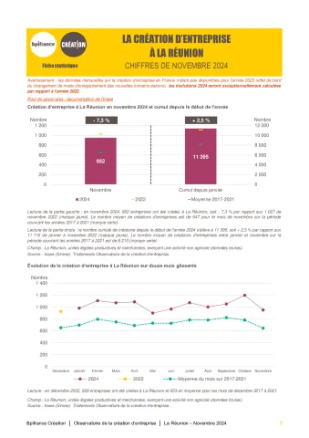 La création d'entreprise à La Réunion en novembre 2024