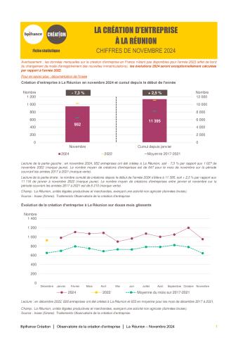 La création d'entreprise à La Réunion en novembre 2024
