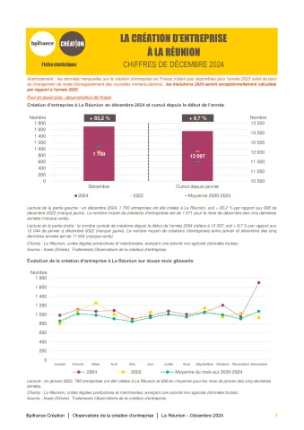 La création d'entreprise à La Réunion en décembre 2024