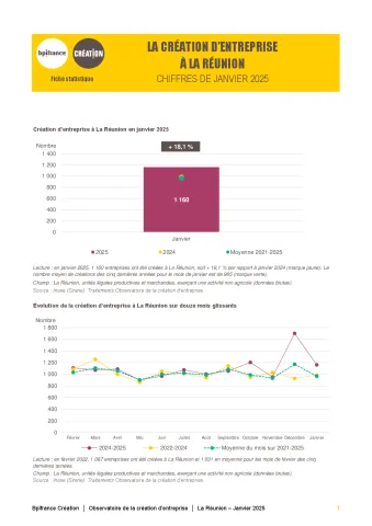 La création d'entreprise à La Réunion en janvier 2025