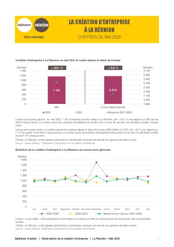 La création d'entreprise à La Réunion en mai 2025
