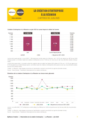 La création d'entreprise à La Réunion en juin 2025