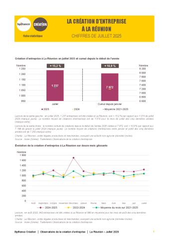 La création d'entreprise à La Réunion en juillet 2025