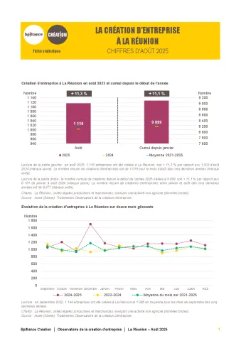 La création d'entreprise à La Réunion en août 2025