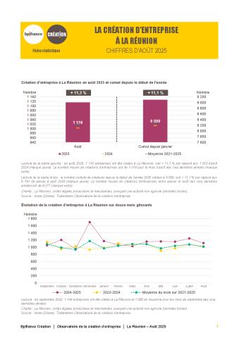 La création d'entreprise à La Réunion en août 2025
