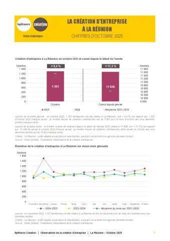 La création d'entreprise à La Réunion en octobre 2025