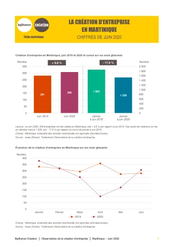 La création d'entreprise en Martinique en juin 2020