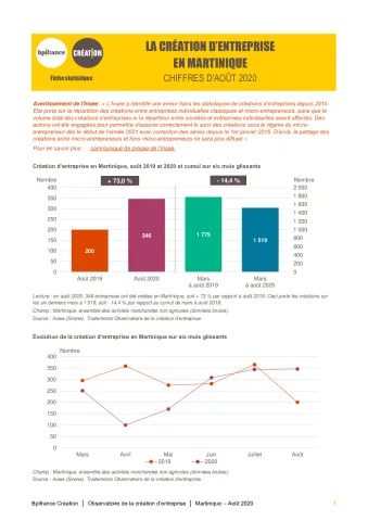 La création d'entreprise en Martinique en août 2020
