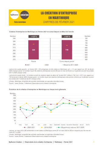 La création d'entreprise en Martinique en février 2021