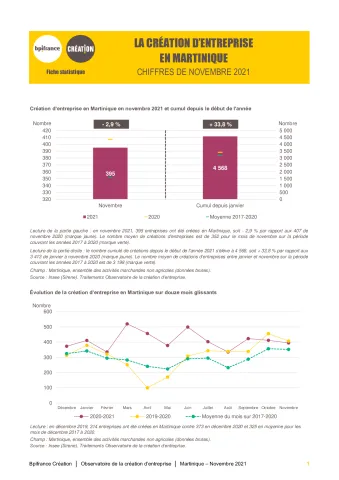 La création d'entreprise en Martinique en novembre 2021