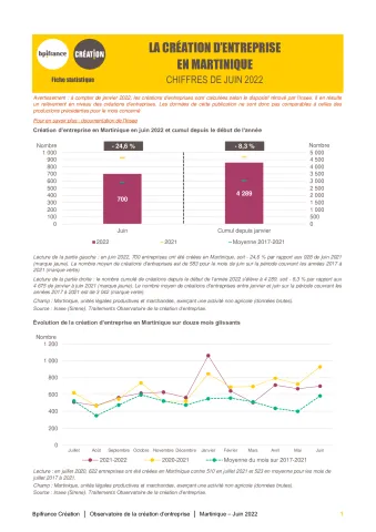 La création d'entreprise en Martinique en juin 2022
