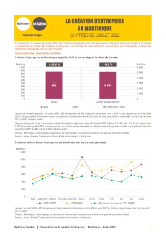 La création d'entreprise en Martinique en juillet 2022