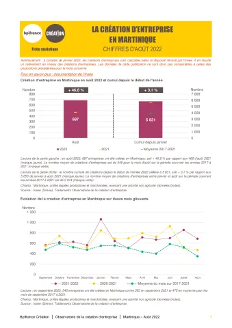 La création d'entreprise en Martinique en août 2022