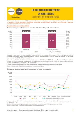 La création d'entreprise en Martinique en décembre 2022