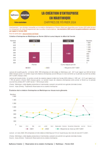 La création d'entreprise en Martinique en février 2024