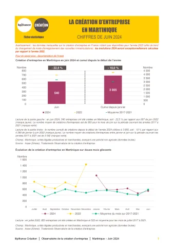 La création d'entreprise en Martinique en juin 2024