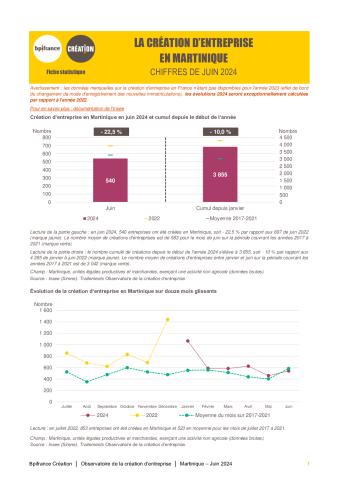 La création d'entreprise en Martinique en juin 2024