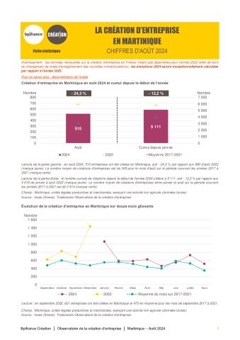 La création d'entreprise en Martinique en août 2024