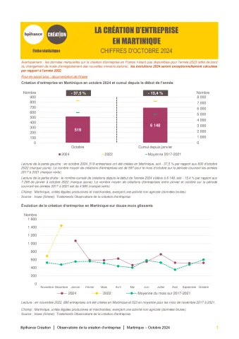 La création d'entreprise en Martinique en octobre 2024