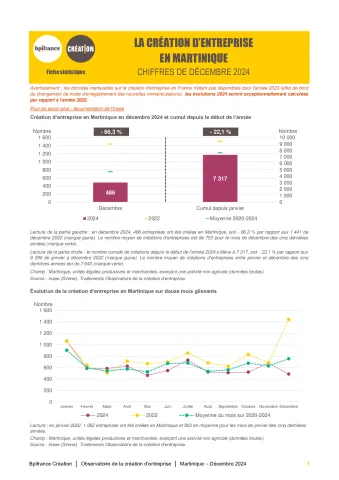La création d'entreprise en Martinique en décembre 2024