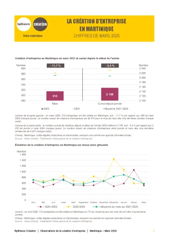 La création d'entreprise en Martinique en mars 2025