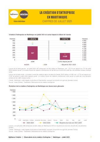 La création d'entreprise en Martinique en juillet 2025