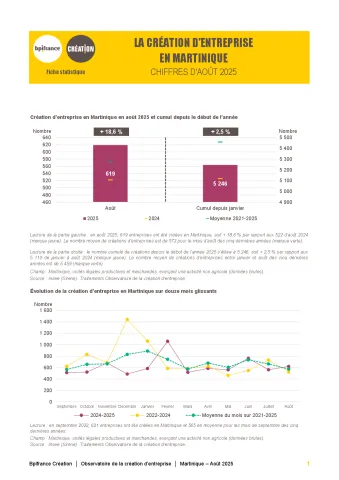 La création d'entreprise en Martinique en août 2025