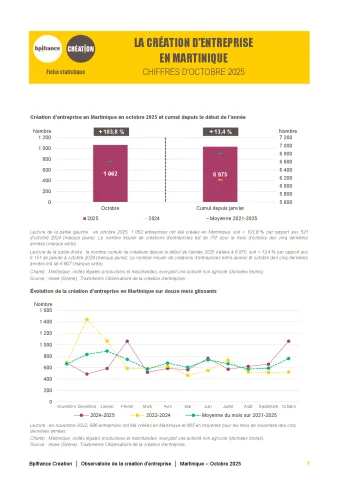 La création d'entreprise en Martinique en octobre 2025