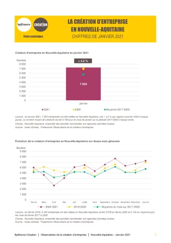 La création d'entreprise en Nouvelle-Aquitaine en janvier 2021