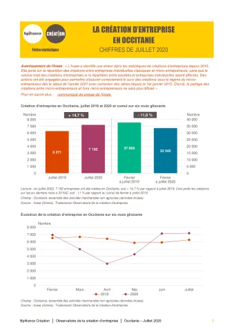 La création d'entreprise en Occitanie en juillet 2020