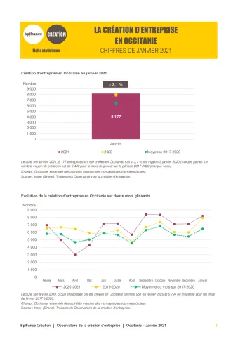 La création d'entreprise en Occitanie en janvier 2021