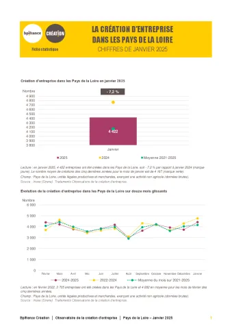 La création d'entreprise dans les Pays de la Loire en janvier 2025