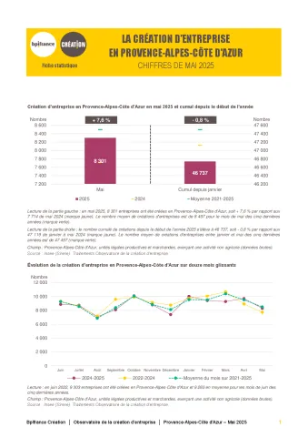 La création d'entreprise en Provence-Alpes-Côte d'Azur en mai 2025