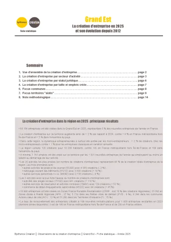 La création d'entreprise dans le Grand Est en 2025