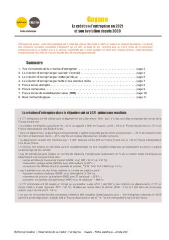 La création d'entreprise en Guyane en 2021